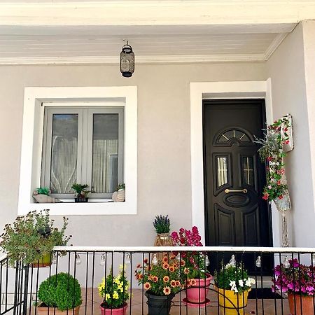 Leo'S City Apartment Lefkáda 외부 사진